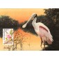 #2308 Roseate Spoonbill Maxi FDC