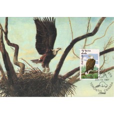 #2309 Bald Eagle Maxi FDC