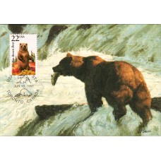 #2310 Alaskan Brown Bear Maxi FDC