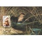 #2314 River Otter Maxi FDC