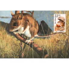 #2324 Deer Mouse Maxi FDC