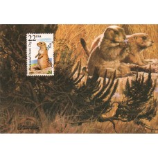 #2325 Black-tailed Prairie Dog Maxi FDC