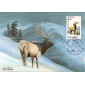 #2328 American Elk Maxi FDC