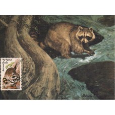 #2331 Raccoon Maxi FDC