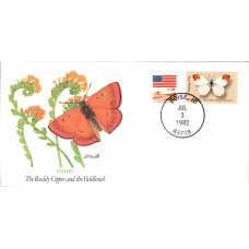 ID Ruddy Copper Butterfly Cover