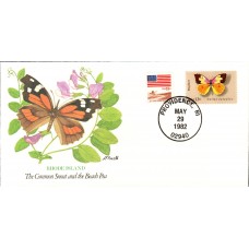 RI Common Snout Butterfly Cover