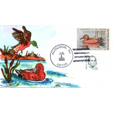 #RW52 Cinnamon Teal Fox FDC