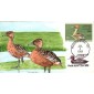 #RW53 Fulvous Whistling Duck OOAK Geerlings FDC