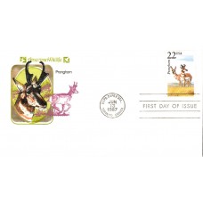 #2313 Pronghorn Farnam FDC