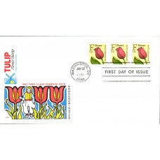 #2518 F - Tulip PNC Farnam FDC