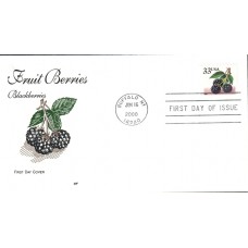 #3406 Blackberries Farnam FDC