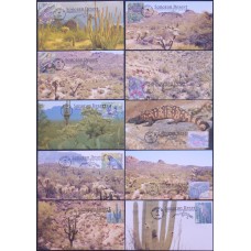 #3293 Sonoran Desert Homespun FDC Set