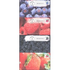 #3404-07 Fruit Berries Homespun FDC Set