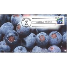 #3404 Blueberries Homespun FDC