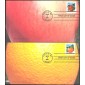 #3491-92 Apple and Orange Homespun FDC Set