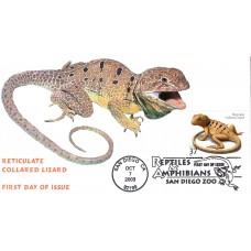 #3816 Reticulate Collared Lizard Homespun FDC