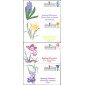 #3900-03 Spring Flowers Homespun FDC Set