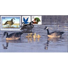 #RW64 Canada Goose Homespun FDC