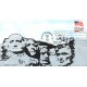 #2523 Flag Over Mt. Rushmore Hudeck FDC