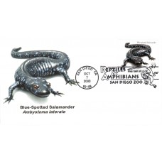 #3815 Blue-spotted Salamander Junction FDC