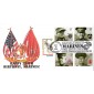 #3961-64 Distinguished Marines Junction FDC