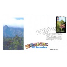 #4066 Mount Wai'ale'ale Junction FDC