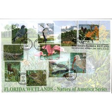 #4099 Southern Florida Wetlands Junction FDC