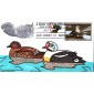 #RW58 King Eiders Karoline's FDC