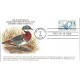 #2092 Preserving Wetlands KMC FDC