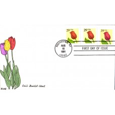 #2525 Tulip Combo Kribbs FDC