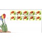 #2527 Tulip Kribbs FDC