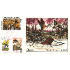 #NJ7 New Jersey 1990 Duck Milford FDC