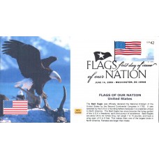 #4273 FOON: US Flag PNC MPG FDC