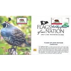 #4279 FOON: California Flag MPG FDC