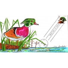 #2484 Wood Duck Paslay FDC