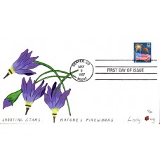 #2276 Flag and Fireworks Poormon FDC