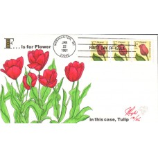 #2518 F - Tulip PNC Pugh FDC