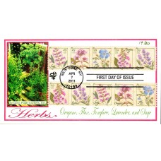 #4505//17 Herbs Pugh FDC