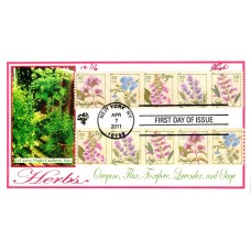 #4505//17 Herbs Pugh FDC