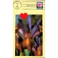 #2378 Love - Rose Spiro FDC