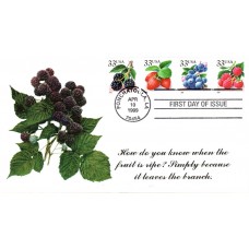 #3294-97 Fruit Berries S & T FDC