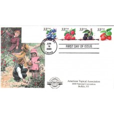 #3404-07 Fruit Berries PNC S & T FDC