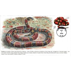 #3814 Scarlet Kingsnake S & T FDC