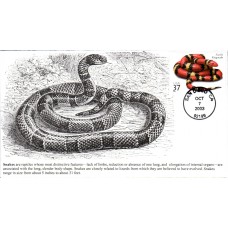 #3814 Scarlet Kingsnake S & T FDC