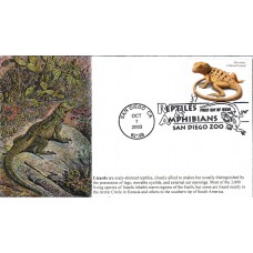 #3816 Reticulate Collared Lizard S & T FDC