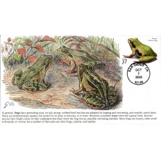 #3817 Ornate Chorus Frog S & T FDC