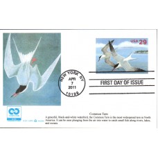 #UX621 Arctic Terns S & T FDC