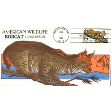 #2482 Bobcat Wildy FDC