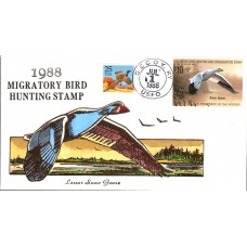 #RW55 Snow Goose Wildy FDC