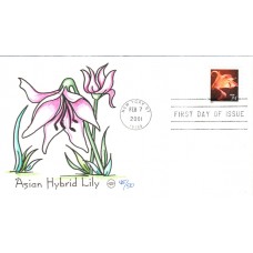 #3479 Asian Hybrid Lily Wilson FDC